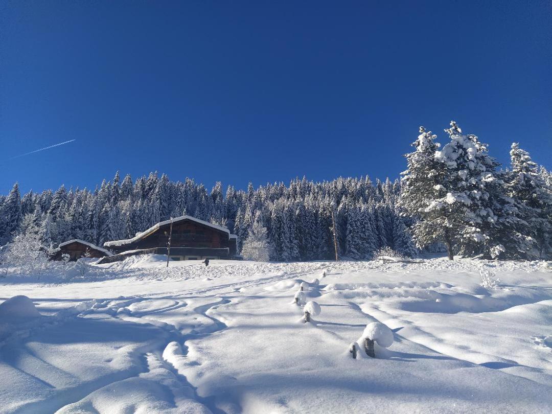 Chalet Lisa B&B Morzine Bagian luar foto
